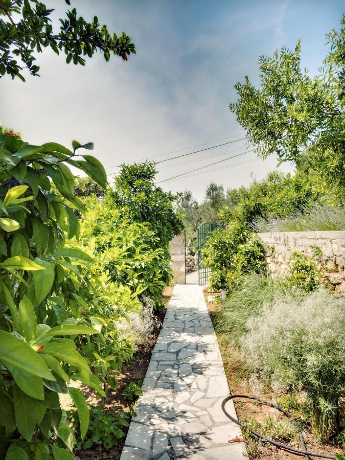 Apartmani Ela Prvić Luka Exterior foto